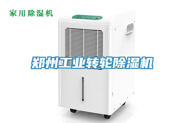 鄭州工業(yè)轉(zhuǎn)輪除濕機