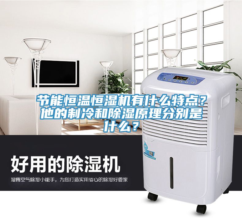 節(jié)能恒溫恒濕機(jī)有什么特點(diǎn)？他的制冷和除濕原理分別是什么？