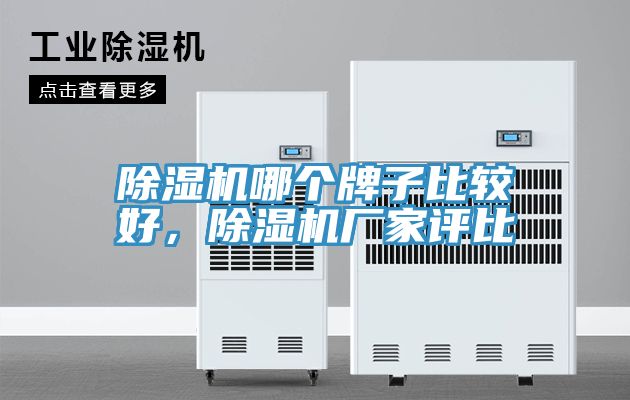 除濕機(jī)哪個(gè)牌子比較好，除濕機(jī)廠家評(píng)比