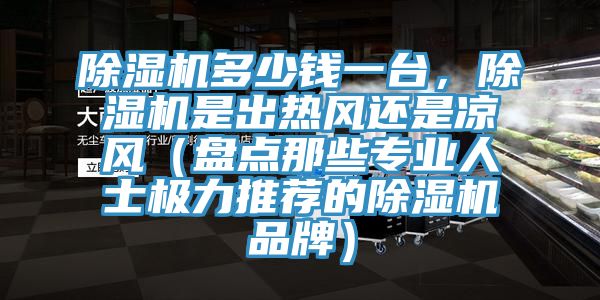 除濕機(jī)多少錢(qián)一臺(tái)，除濕機(jī)是出熱風(fēng)還是涼風(fēng)（盤(pán)點(diǎn)那些專(zhuān)業(yè)人士極力推薦的除濕機(jī)品牌）