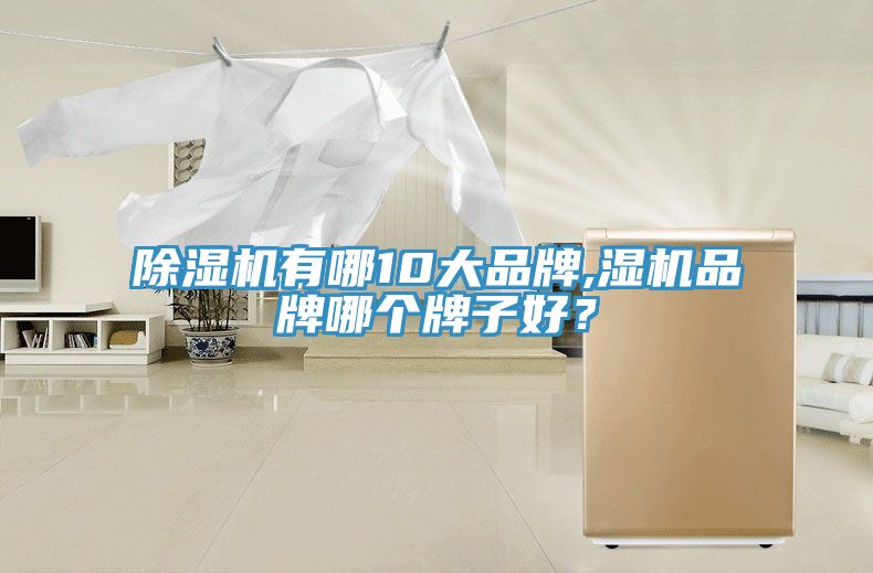 除濕機(jī)有哪10大品牌,濕機(jī)品牌哪個(gè)牌子好？