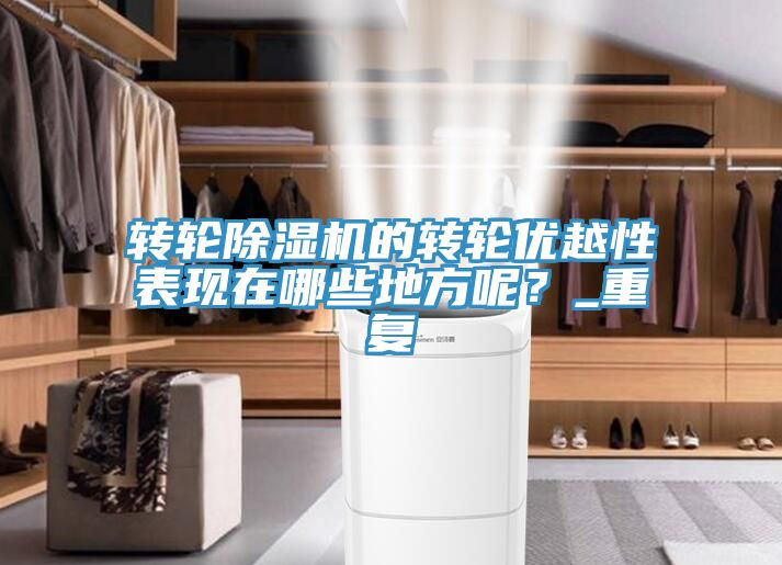 轉(zhuǎn)輪除濕機(jī)的轉(zhuǎn)輪優(yōu)越性表現(xiàn)在哪些地方呢？_重復(fù)