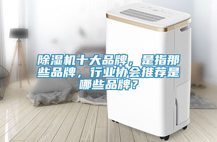 除濕機十大品牌，是指那些品牌，行業(yè)協(xié)會推薦是哪些品牌？