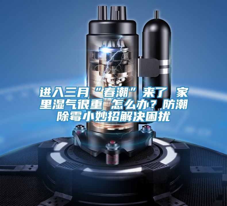 進(jìn)入三月“春潮”來了 家里濕氣很重 怎么辦？防潮除霉小妙招解決困擾