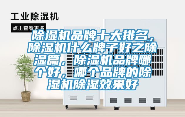 除濕機(jī)品牌十大排名，除濕機(jī)什么牌子好之除濕篇，除濕機(jī)品牌哪個(gè)好，哪個(gè)品牌的除濕機(jī)除濕效果好