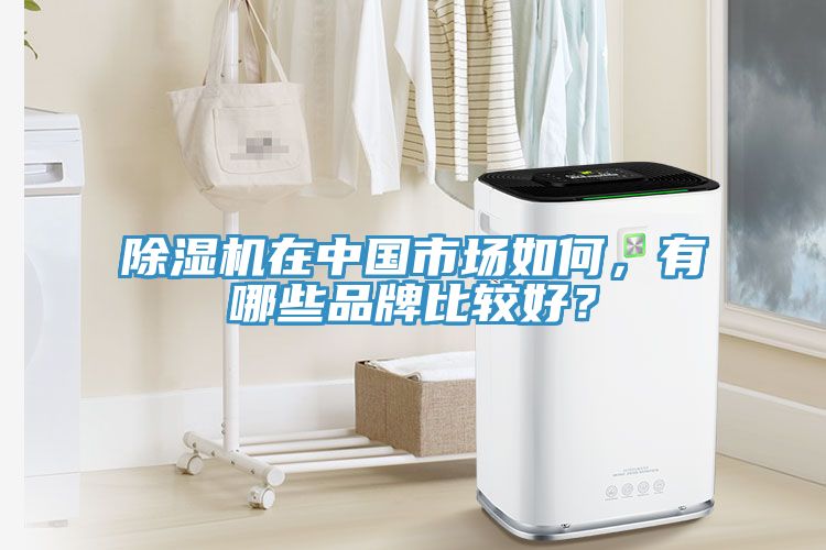 除濕機在中國市場如何，有哪些品牌比較好？