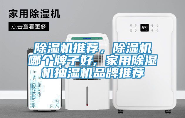 除濕機(jī)推薦，除濕機(jī)哪個牌子好, 家用除濕機(jī)抽濕機(jī)品牌推薦
