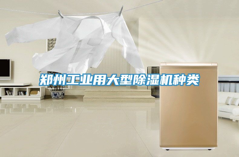 鄭州工業(yè)用大型除濕機種類