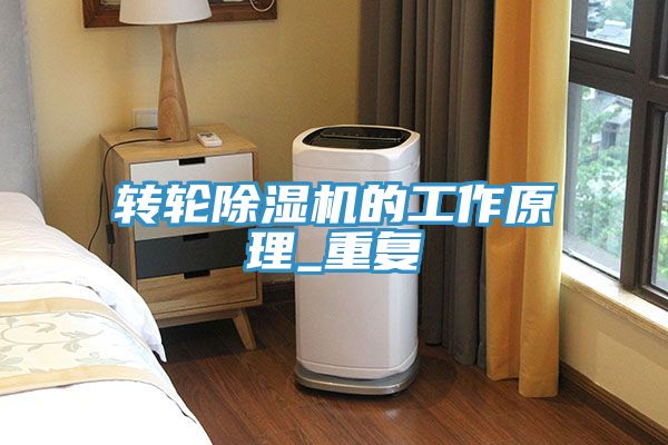 轉(zhuǎn)輪除濕機的工作原理_重復