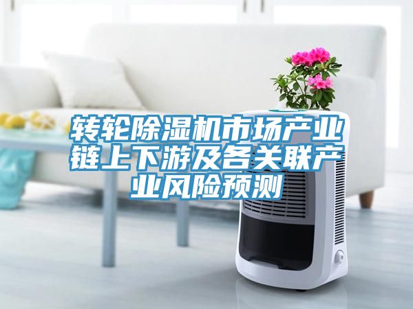 轉(zhuǎn)輪除濕機市場產(chǎn)業(yè)鏈上下游及各關(guān)聯(lián)產(chǎn)業(yè)風(fēng)險預(yù)測