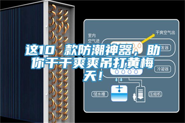 這10 款防潮神器，助你干干爽爽吊打黃梅天！