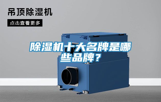 除濕機(jī)十大名牌是哪些品牌？