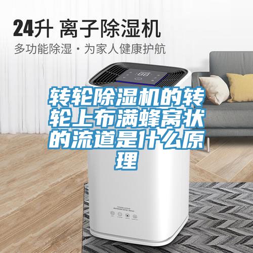 轉輪除濕機的轉輪上布滿蜂窩狀的流道是什么原理