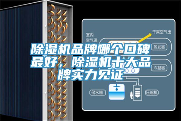 除濕機品牌哪個口碑最好，除濕機十大品牌實力見證