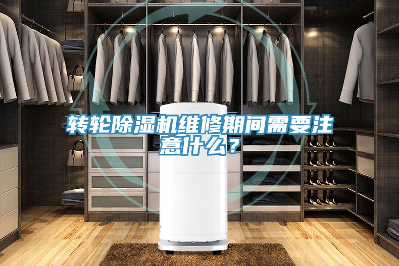 轉(zhuǎn)輪除濕機維修期間需要注意什么？
