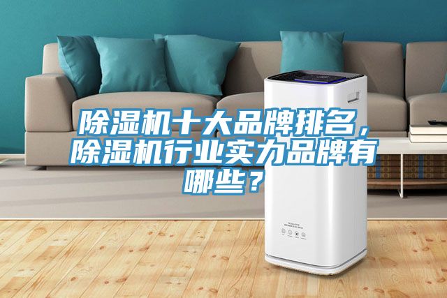 除濕機(jī)十大品牌排名，除濕機(jī)行業(yè)實(shí)力品牌有哪些？