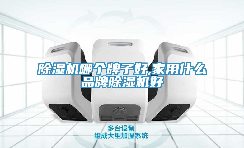除濕機(jī)哪個(gè)牌子好,家用什么品牌除濕機(jī)好