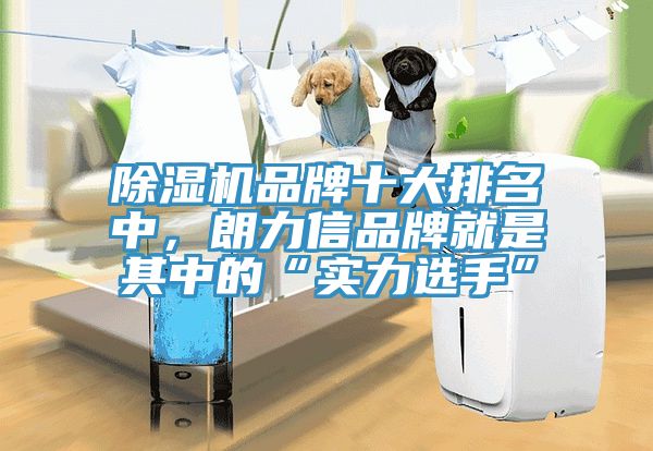 除濕機(jī)品牌十大排名中，朗力信品牌就是其中的“實(shí)力選手”