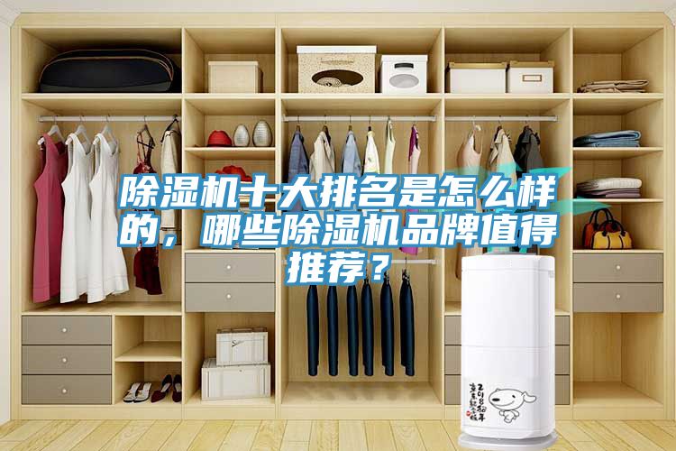 除濕機十大排名是怎么樣的，哪些除濕機品牌值得推薦？