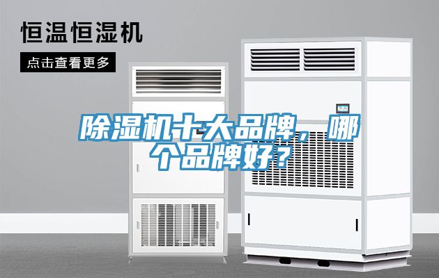 除濕機十大品牌，哪個品牌好？