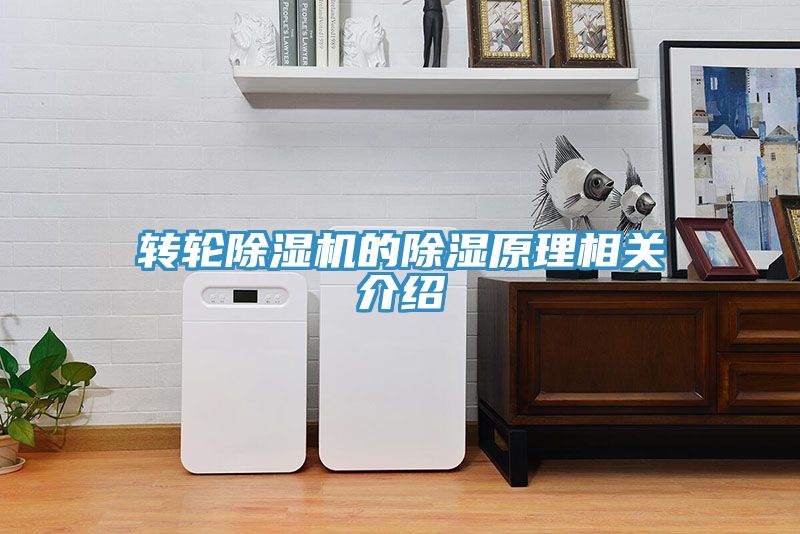 轉輪除濕機的除濕原理相關介紹