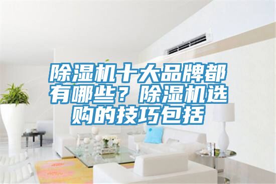 除濕機十大品牌都有哪些？除濕機選購的技巧包括
