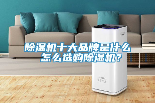 除濕機十大品牌是什么 怎么選購除濕機？