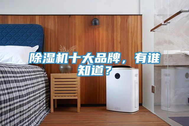 除濕機十大品牌，有誰知道？