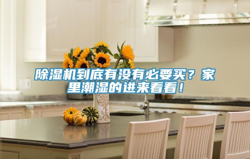 除濕機到底有沒有必要買？家里潮濕的進來看看！