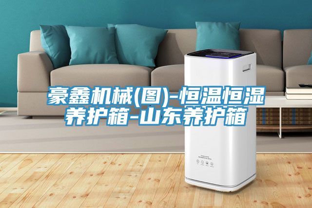 豪鑫機械(圖)-恒溫恒濕養(yǎng)護箱-山東養(yǎng)護箱