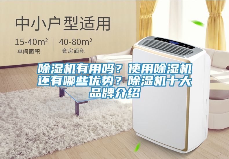 除濕機有用嗎？使用除濕機還有哪些優(yōu)勢？除濕機十大品牌介紹