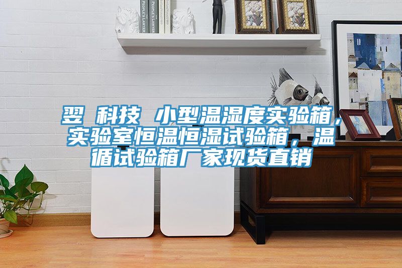 翌昇科技 小型溫濕度實驗箱，實驗室恒溫恒濕試驗箱，溫循試驗箱廠家現(xiàn)貨直銷