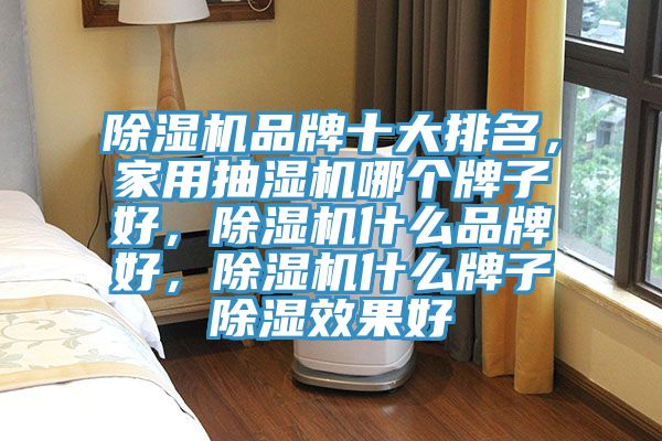 除濕機(jī)品牌十大排名，家用抽濕機(jī)哪個(gè)牌子好，除濕機(jī)什么品牌好，除濕機(jī)什么牌子除濕效果好