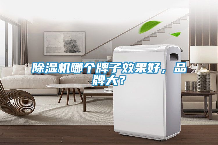 除濕機(jī)哪個(gè)牌子效果好，品牌大？
