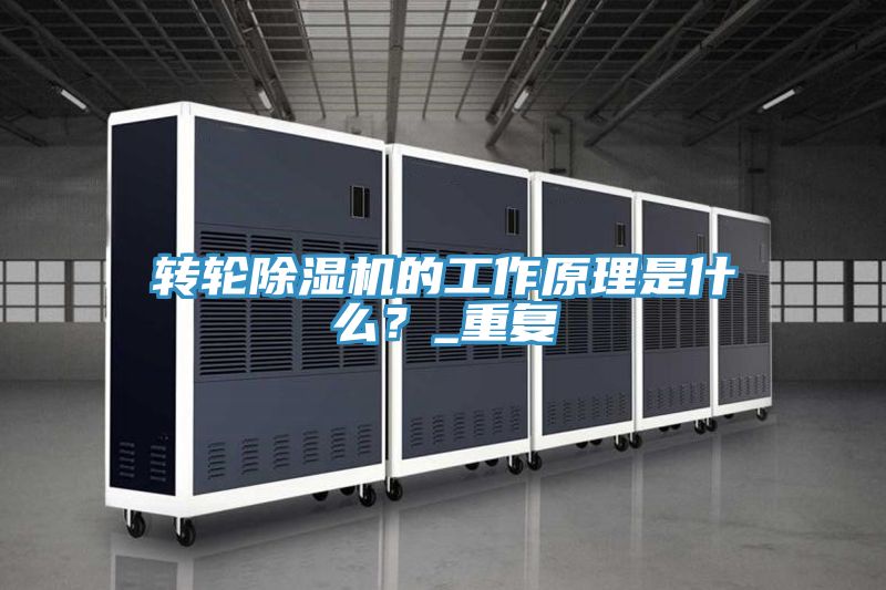轉(zhuǎn)輪除濕機的工作原理是什么？_重復