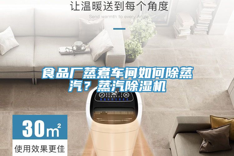 食品廠蒸煮車間如何除蒸汽？蒸汽除濕機(jī)