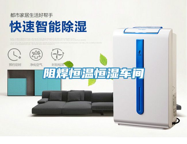 阻焊恒溫恒濕車(chē)間