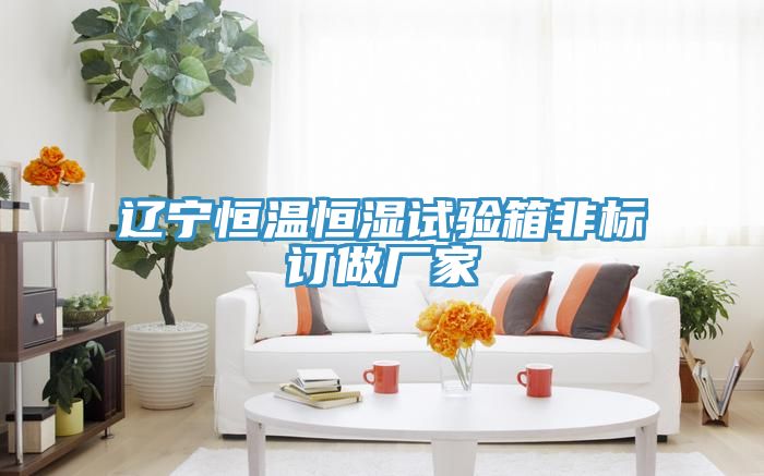 遼寧恒溫恒濕試驗(yàn)箱非標(biāo)訂做廠家