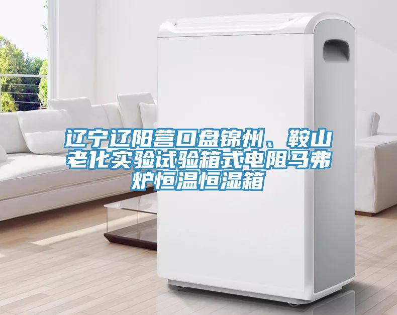 遼寧遼陽營口盤錦州、鞍山老化實(shí)驗(yàn)試驗(yàn)箱式電阻馬弗爐恒溫恒濕箱
