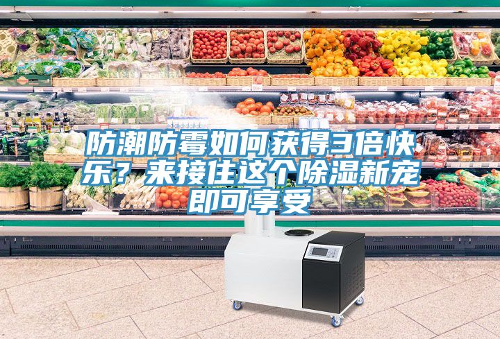 防潮防霉如何獲得3倍快樂？來接住這個除濕新寵即可享受