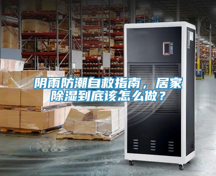 陰雨防潮自救指南，居家除濕到底該怎么做？