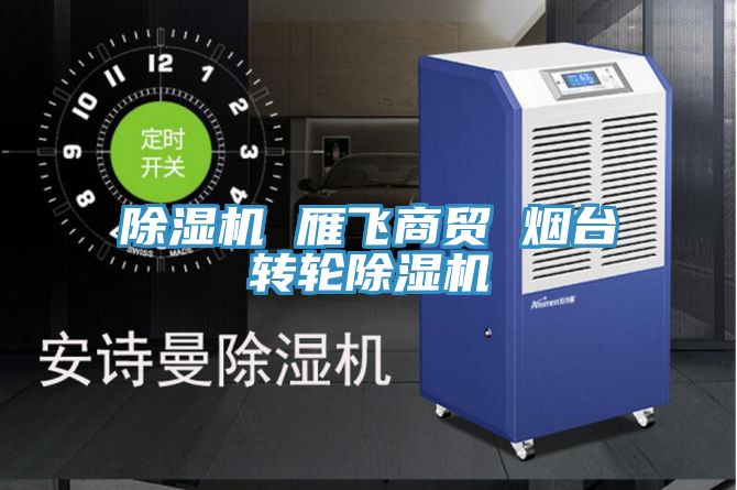 除濕機 雁飛商貿(mào) 煙臺轉(zhuǎn)輪除濕機