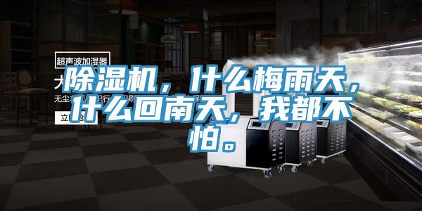 除濕機(jī)，什么梅雨天，什么回南天，我都不怕。