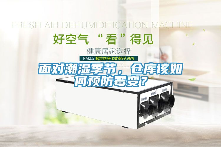 面對(duì)潮濕季節(jié)，倉(cāng)庫(kù)該如何預(yù)防霉變？