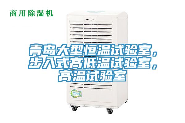 青島大型恒溫試驗(yàn)室，步入式高低溫試驗(yàn)室，高溫試驗(yàn)室