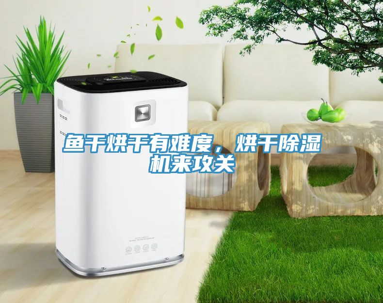 魚干烘干有難度，烘干除濕機(jī)來攻關(guān)