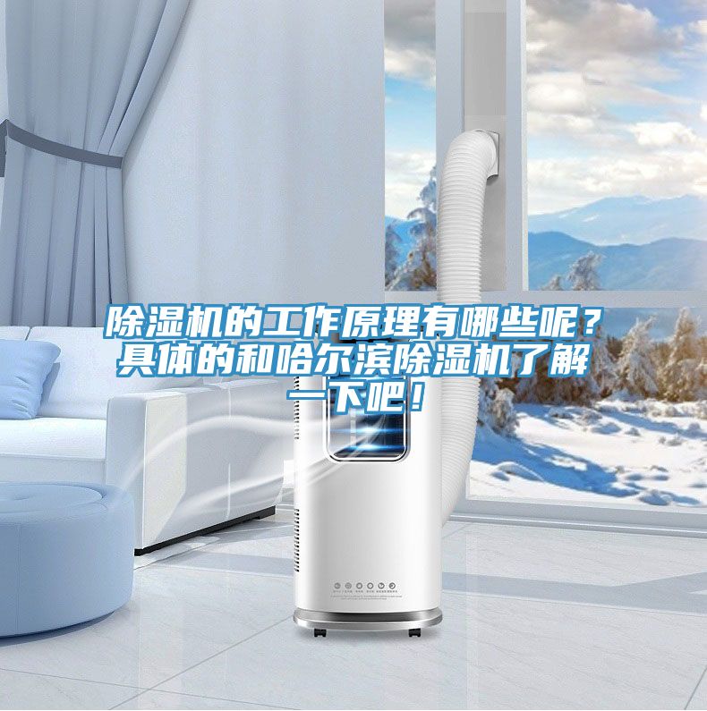 除濕機(jī)的工作原理有哪些呢？具體的和哈爾濱除濕機(jī)了解一下吧！