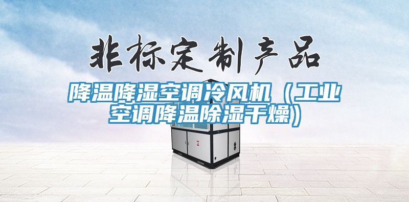 降溫降濕空調(diào)冷風(fēng)機（工業(yè)空調(diào)降溫除濕干燥）