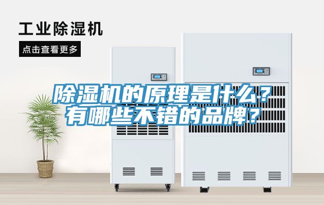 除濕機(jī)的原理是什么？有哪些不錯(cuò)的品牌？