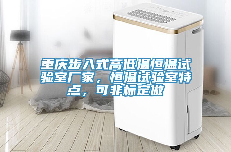 重慶步入式高低溫恒溫試驗(yàn)室廠(chǎng)家，恒溫試驗(yàn)室特點(diǎn)，可非標(biāo)定做